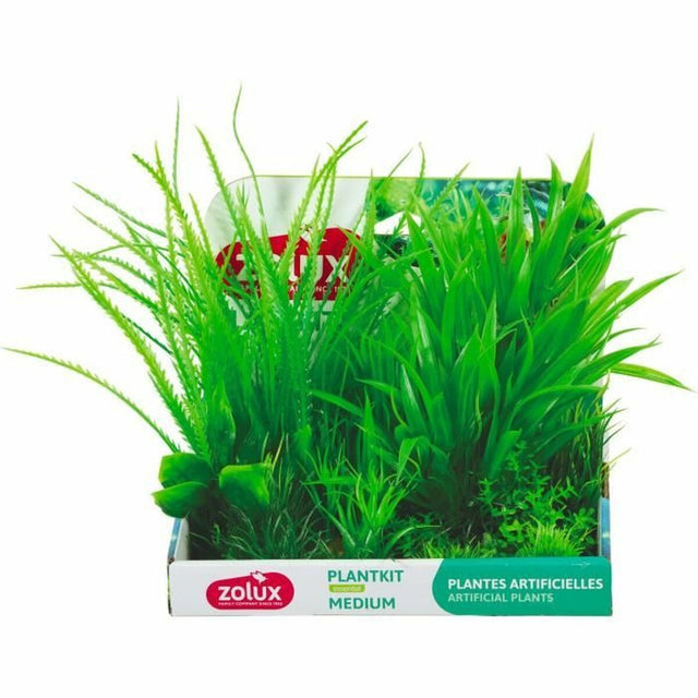 Pflanzen für Aquarien