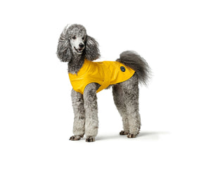 Collection image for: Hundebekleidung