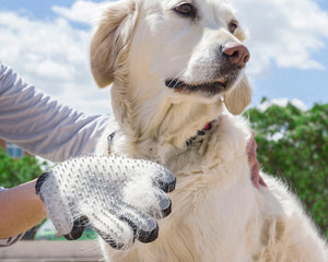Collection image for: Hygiene & Pflege für dein Haustier