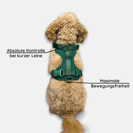 No-Pull Hundegeschirr Pura