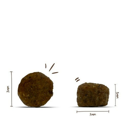 V3HBEF2A6E2D5EFBBF1D7DE9BD94E015388R5624093P2