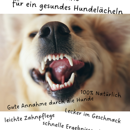 Riolino FreshBite Zahnpulver – Natürliche Zahnpflege für Hunde
