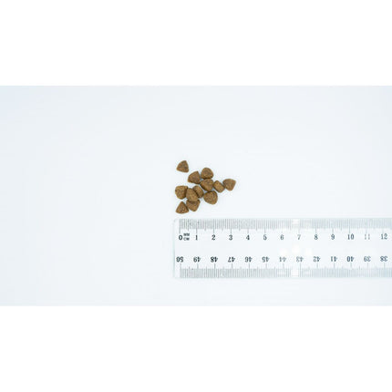 V3H05387CF593CA3A0FB79DDBFD795B5E53R6200903P2