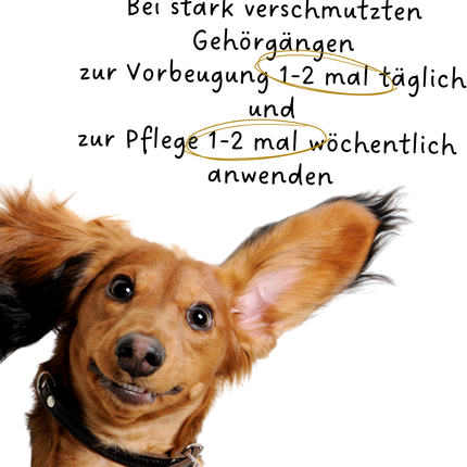 Riolino PureEars – Sanfter Ohrenreiniger für Hunde und Katzen