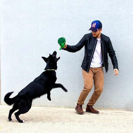 V4H526231E330CBB270FEAD6143A4FCECF1R7134525P8