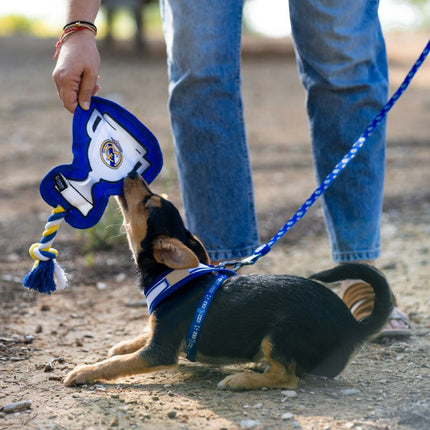 V3H49E224C6546DE4ECC82C7F62211BE722R6292205P2