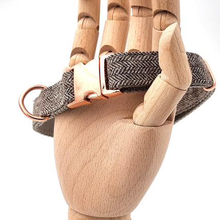 Süßes Hundehalsband mit Namen, graviert auf Schnalle