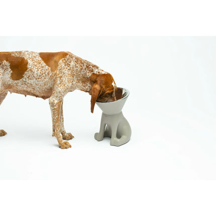 United Pets Up "Elisabeth" Hundenapf – Grau, Edelstahl & Polyäthylen, 1L