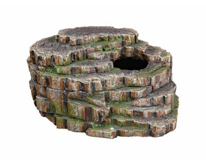 Collection image for: Einfache Terrarien-Bausätze