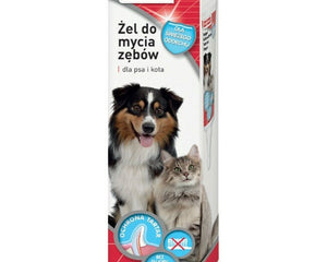 Collection image for: Zahnpflege
