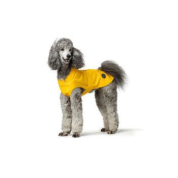 Hundebekleidung
