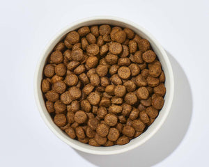 Collection image for: Hundefutter & Ernährung