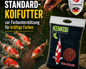 Collection image for: Fisch-Futter – hochwertige Ernährung für gesunde Fische im Teich &amp; Aquarium