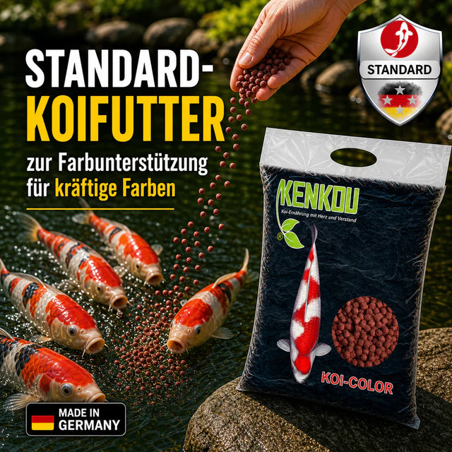 Fisch-Futter – hochwertige Ernährung für gesunde Fische im Teich &amp; Aquarium