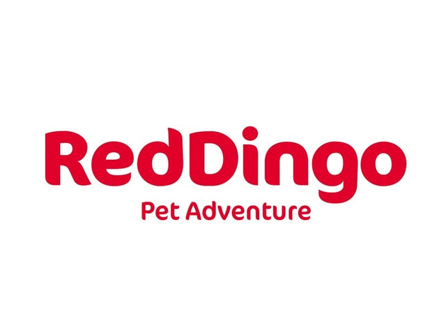 Red Dingo