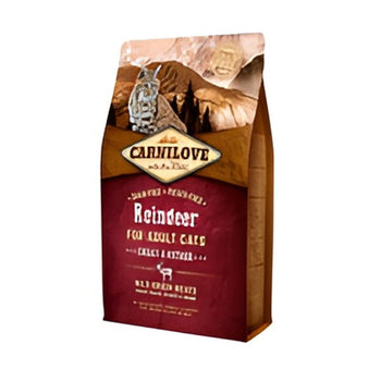 Katzen