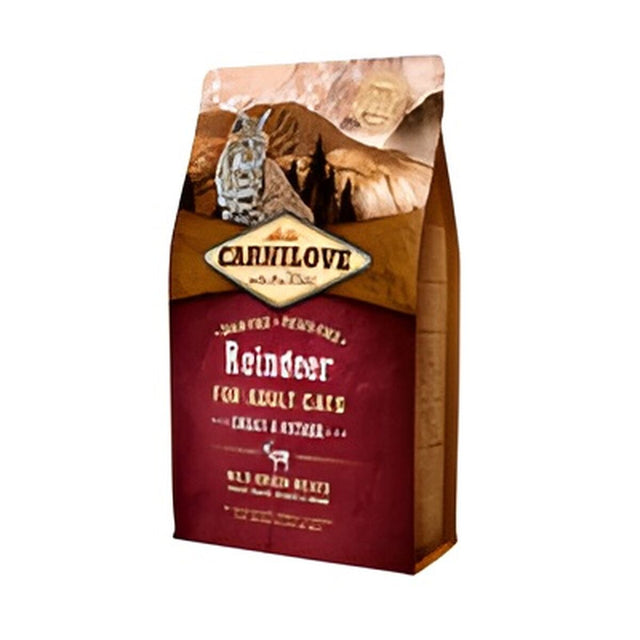 Katzen