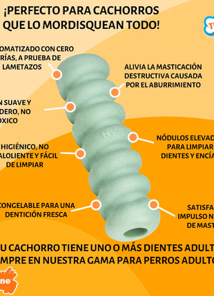 V5H7C7D7FDBD2BCB057D34ABDA2075D7D19R5574713P2