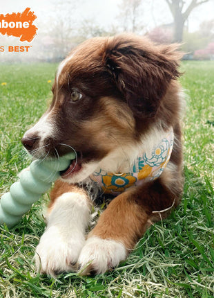 V5HFF3B8C423E4150D8ABBCB85264530784R5574715P4