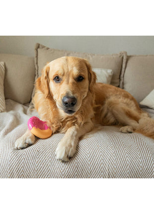 V6H77584461C6C6424A7517D14244D60D85R7427444P4