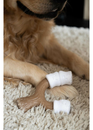 V5HAE0723F9C246D7F0C82B84F4C83FFFE1R5778903P2