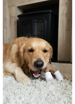 V5H1168FC2E47A1381B38DB7698EC2A5A9AR5778904P3