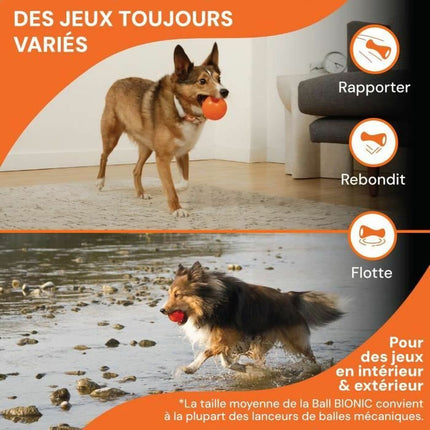 V5H7E49A1F19998F9A4CFADBC43C147EE7CR7343115P3