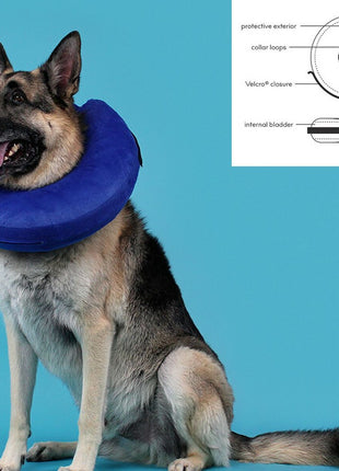 V12H2972139C5AFF37534ACD9A421AAF5D4ER4073049P3