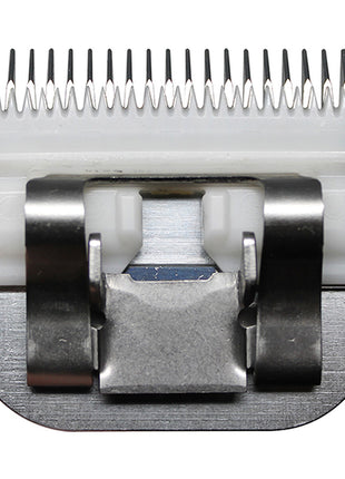 V5H985E39FD4A925E3F70EFCE20C04FC399R5554761P4