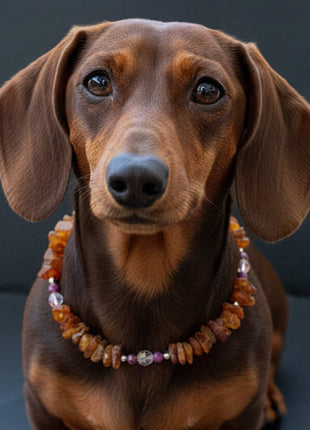 Bernsteinkette für den Hund mit Sugilith und Swari Länge 23cm