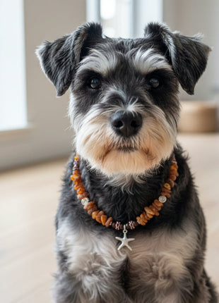 Hunde Bernsteinkette mit Jaspis Länge 33cm