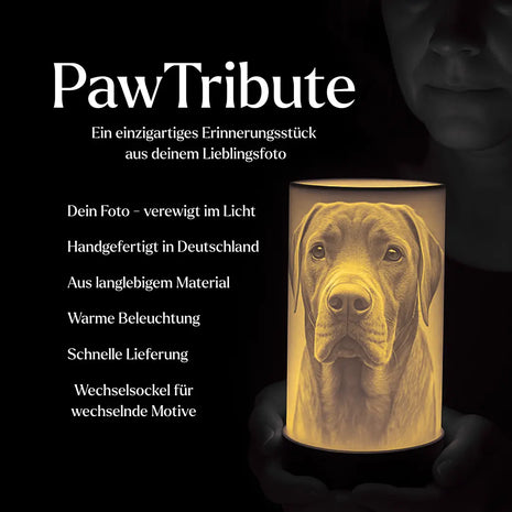 PawTribute – A luminous 3D keepsake image of your pet