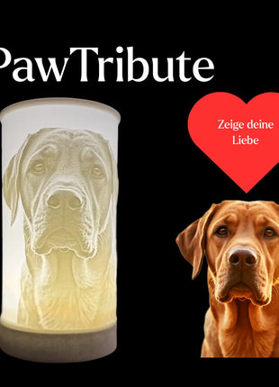 PawTribute