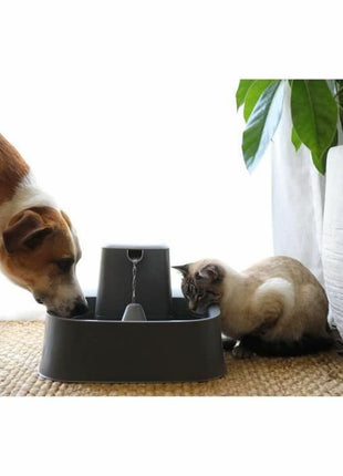 V8HE241B5D8D39851A2004922729AF4398CR6414557P3