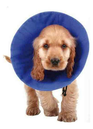 V11H74FDB7164A7B082376D18E3FF9BAB1A5R5461367P1