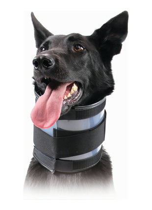 V13HA6415419D6879319317993DE1EAC8867R4073056P1