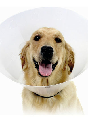 V11HC27925F24A99A12EB937BA1138D60CE5R4960354P1