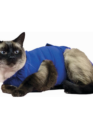 V12HA0A8FD3C4C031E1511E9813D08CBE201R2350561P1