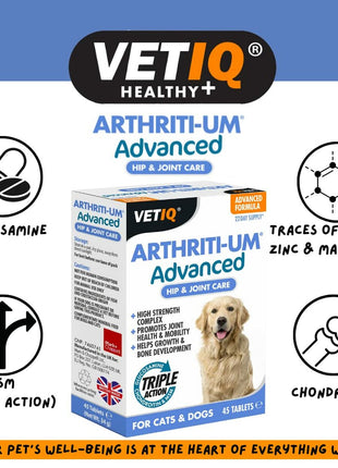 V5H11CCD02E5D211163F9A456EE2B7B52A5R5554922P3