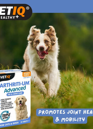 V5HEE4603D10E9D301715643097F8A2D2BCR5554923P4