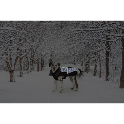 V4HB98D928D7D7E70DBDA1989684C0B8764R5332484P2