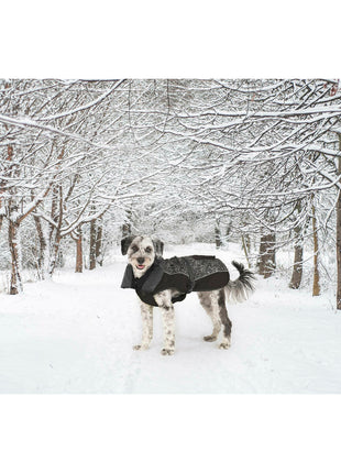 V6H55B00D61FA261EE622B1A2F7EE9BAC94R5332500P8