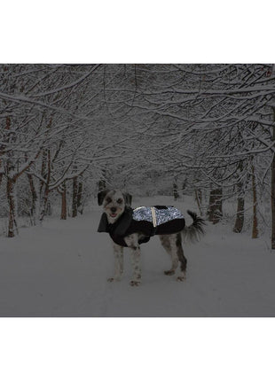 V6H13943F8C4B4DBDB5BA20617D87C027A9R5332517P2