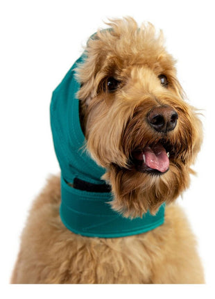 V12HC5A165DDD982EE0D8C2775AA207B0DDCR5461374P1