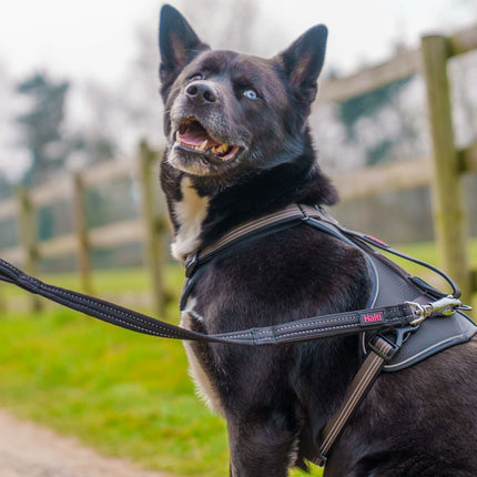 V5H24F9BD465C3B5696D58E920F0E73AB57R7245511P3