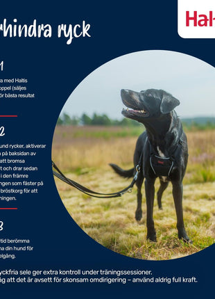 V4H2DAD302EBCA6F8CAF5B91ED37A8581B3R7523512P4