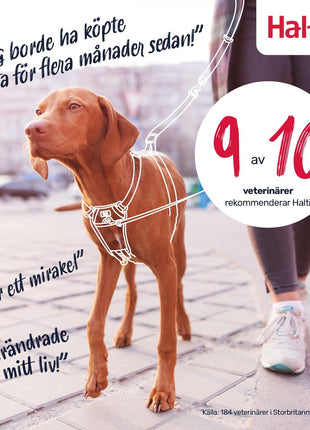 V4H390076E73EAA0A7DBC1EB68811BF6AFBR7523514P6