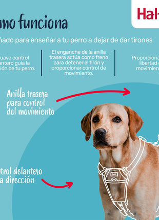 V4H9ACC0D4F142E808B75AD2709274DF2B1R7523515P7