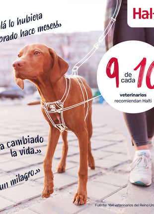 V4HEF383AD75CE7B3871F723C3B8571068ER7523518P10