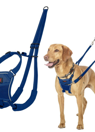 V4H595F012EC5DB3D1D1F6D4C2921893DF9R7523826P1